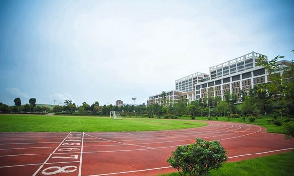 513448456.jpg